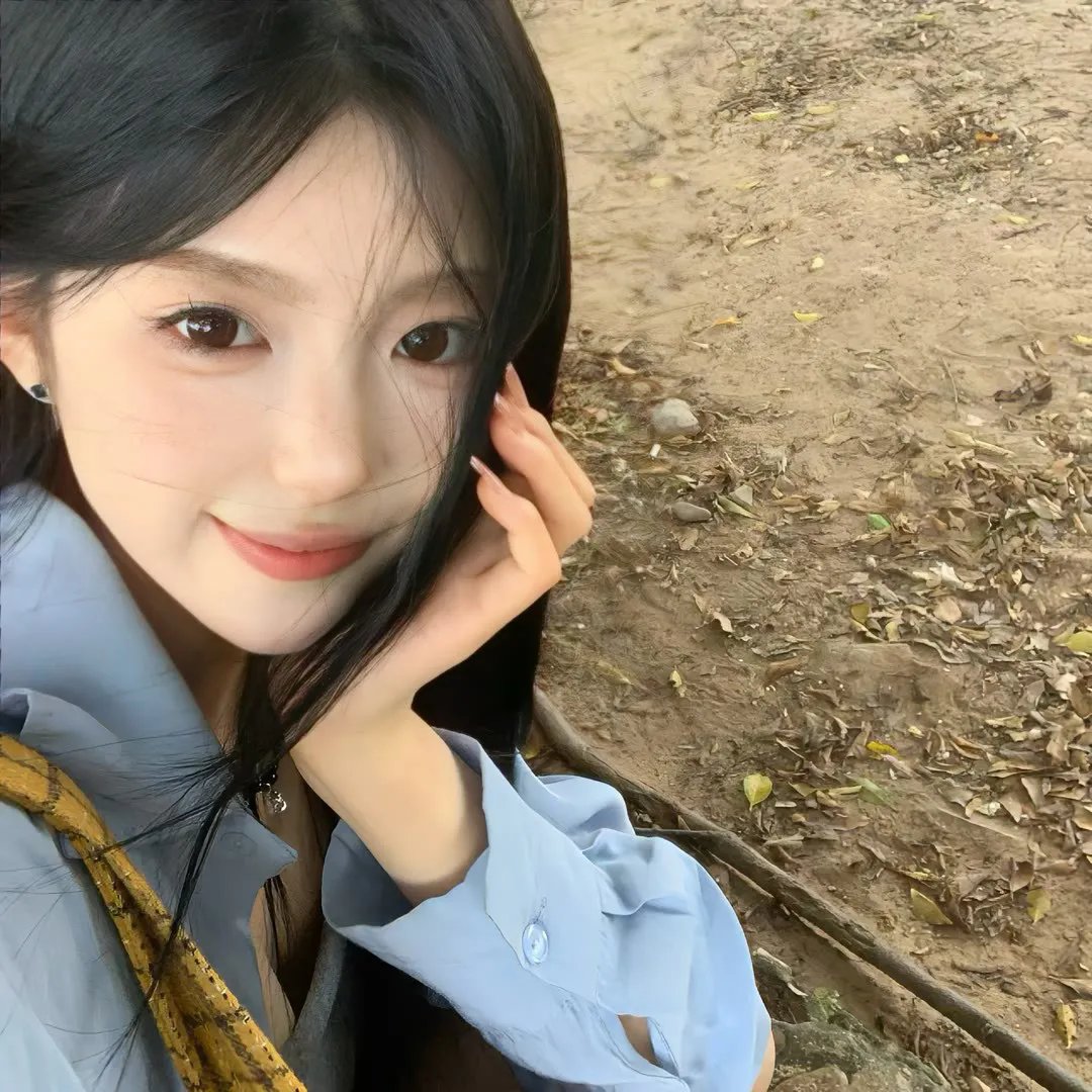 黑狐之风影